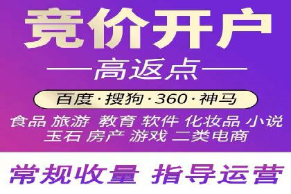案例分析：SEM推广助力行业竞争突围